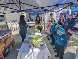 Comunidad escolar evalúa y degusta productos para elegir el alimento complementario 2027